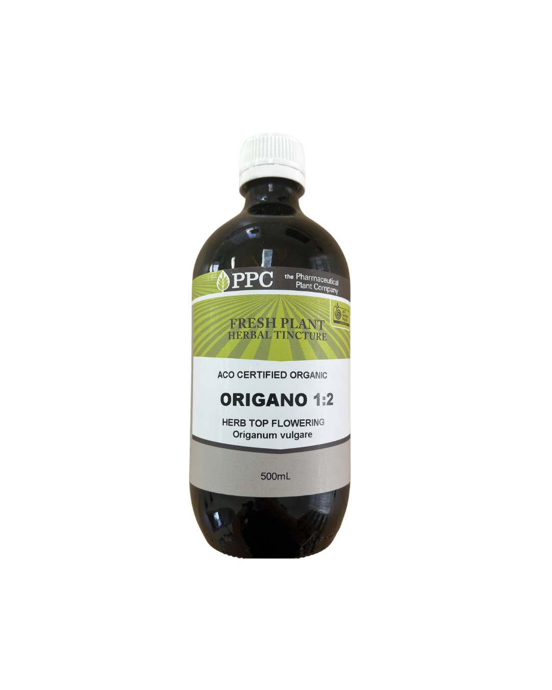Origano Fresh Plant (1:2)