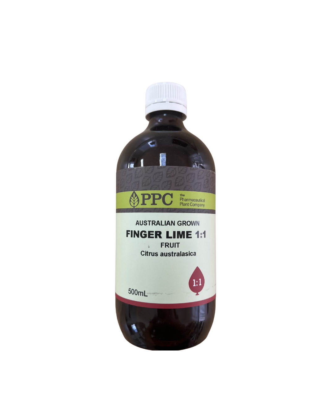 Finger Lime (1:1)