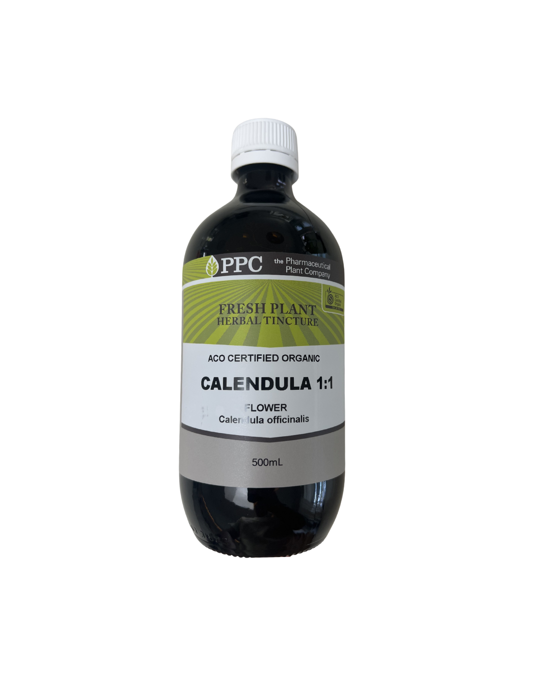 Calendula Fresh Plant (1:1)