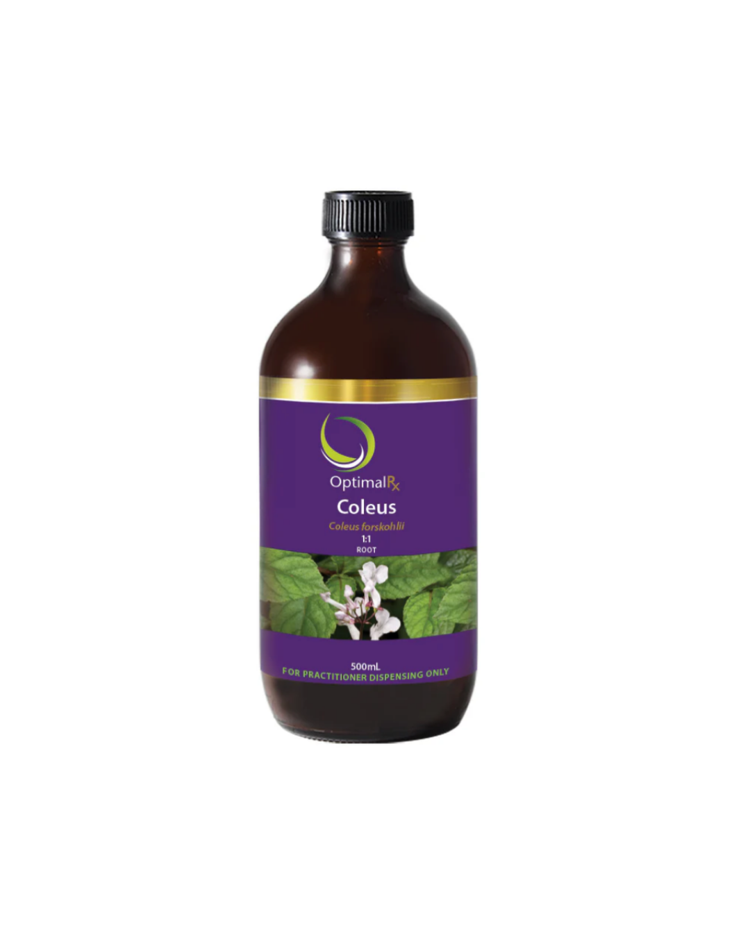 Coleus (1:1)