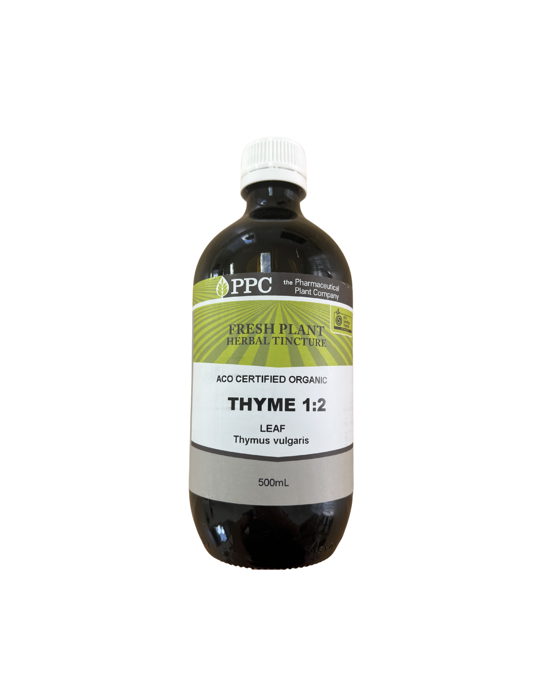 Thyme Fresh Plant (1:2)