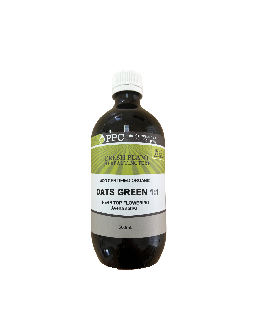 Oats Green Fresh Plant (1:1)