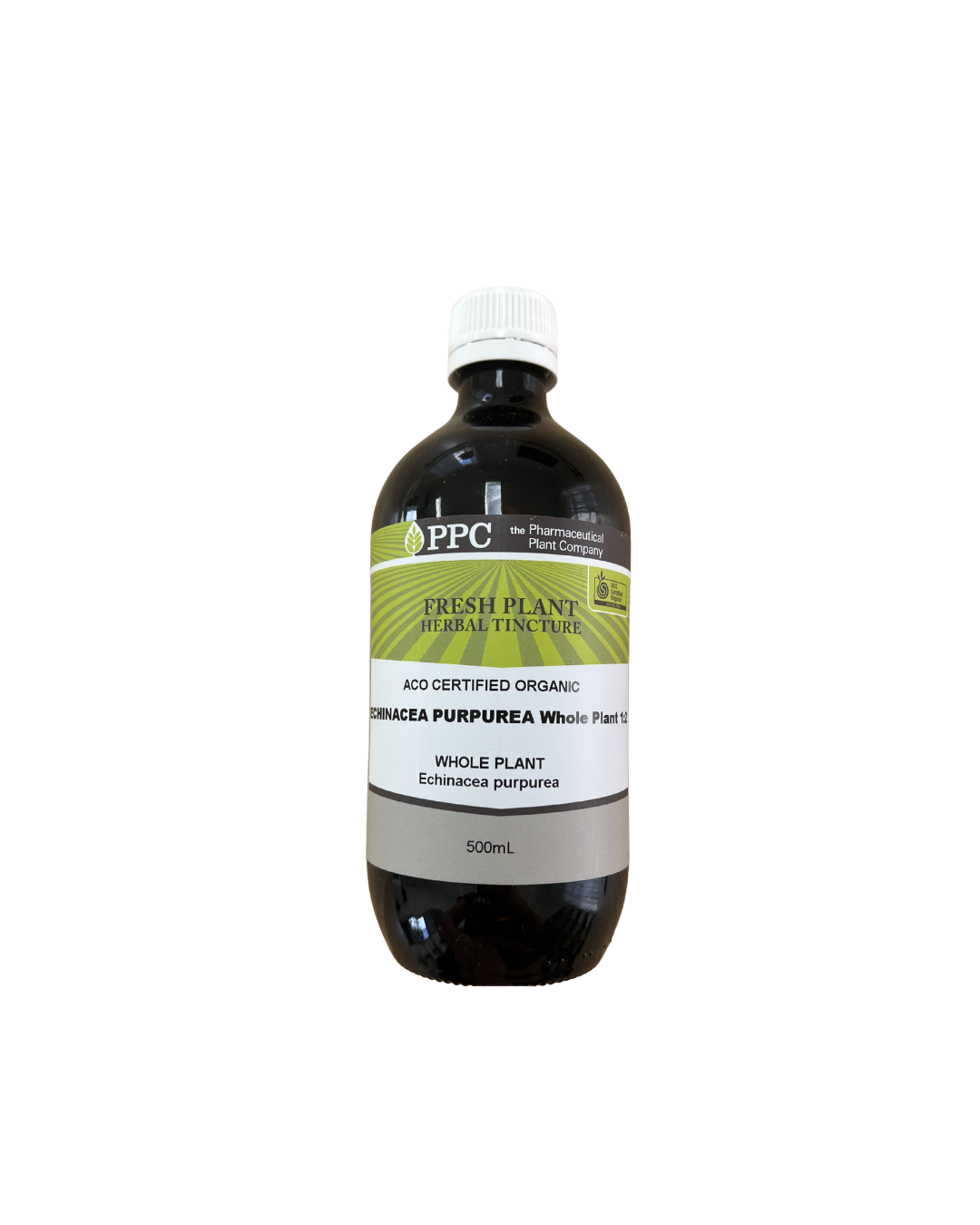 Echinacea Purpurea Whole Plant 1:2