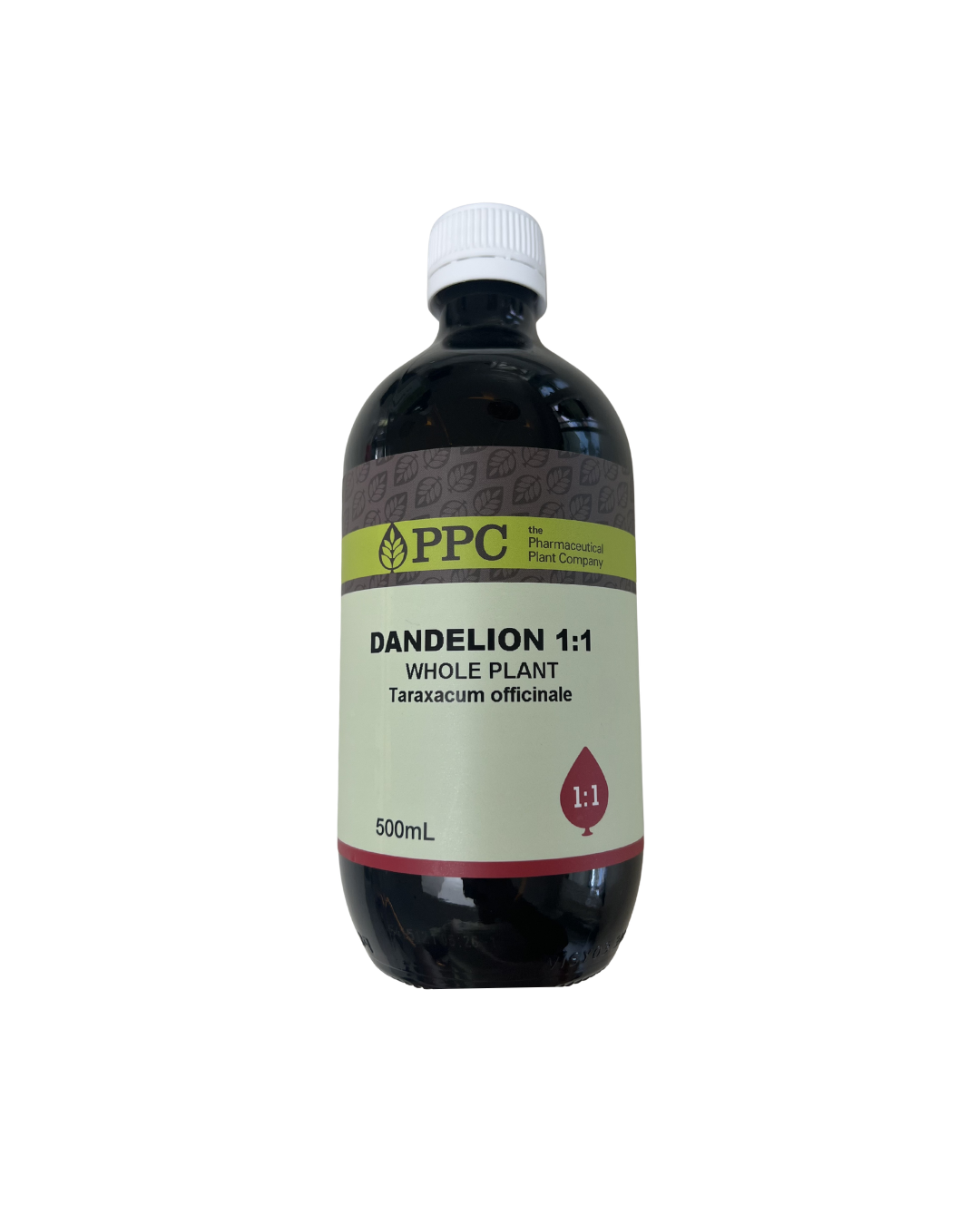 Dandelion Root Whole Plant (1:1)