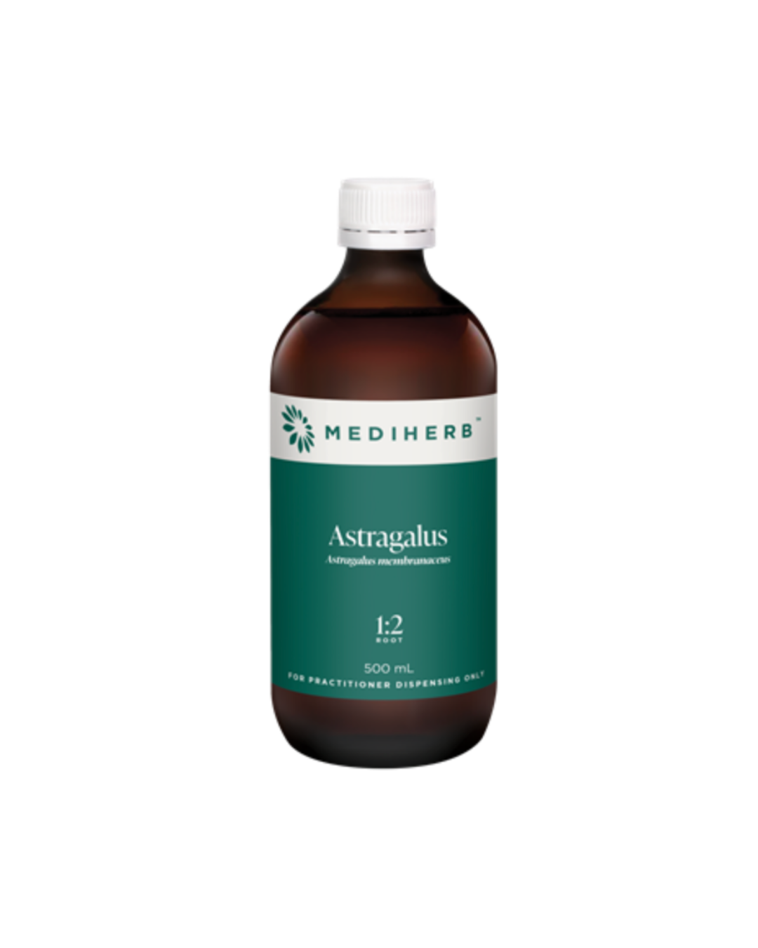Astragalus (1:2)