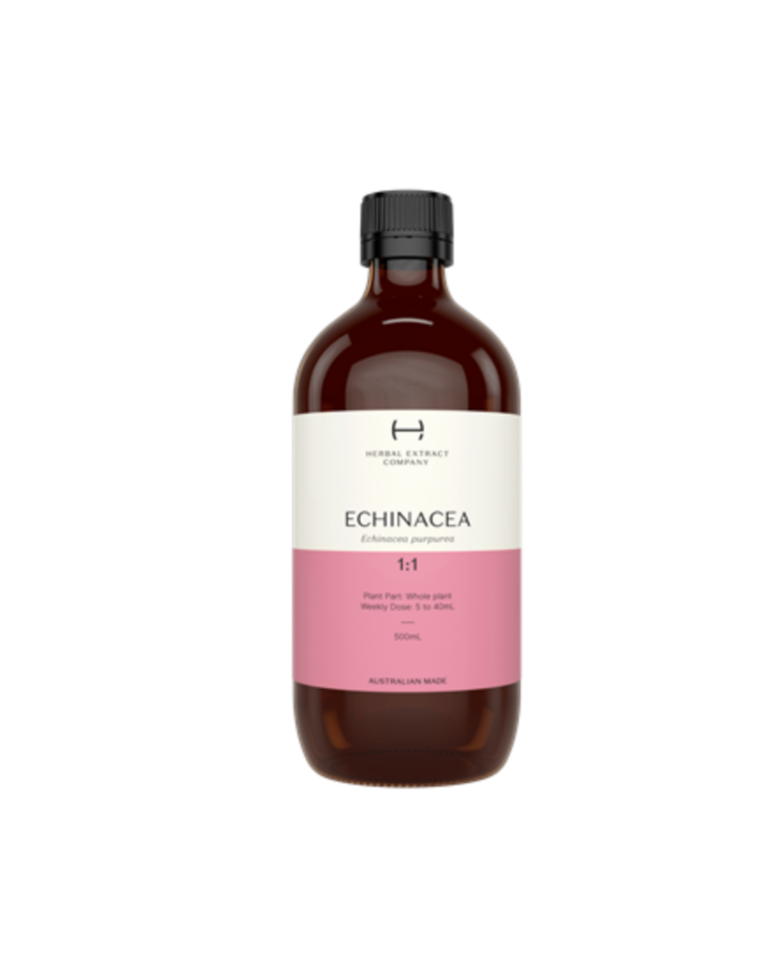 Echinacea Purpurea (1:1)